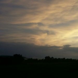 Meet your Posher, Leann